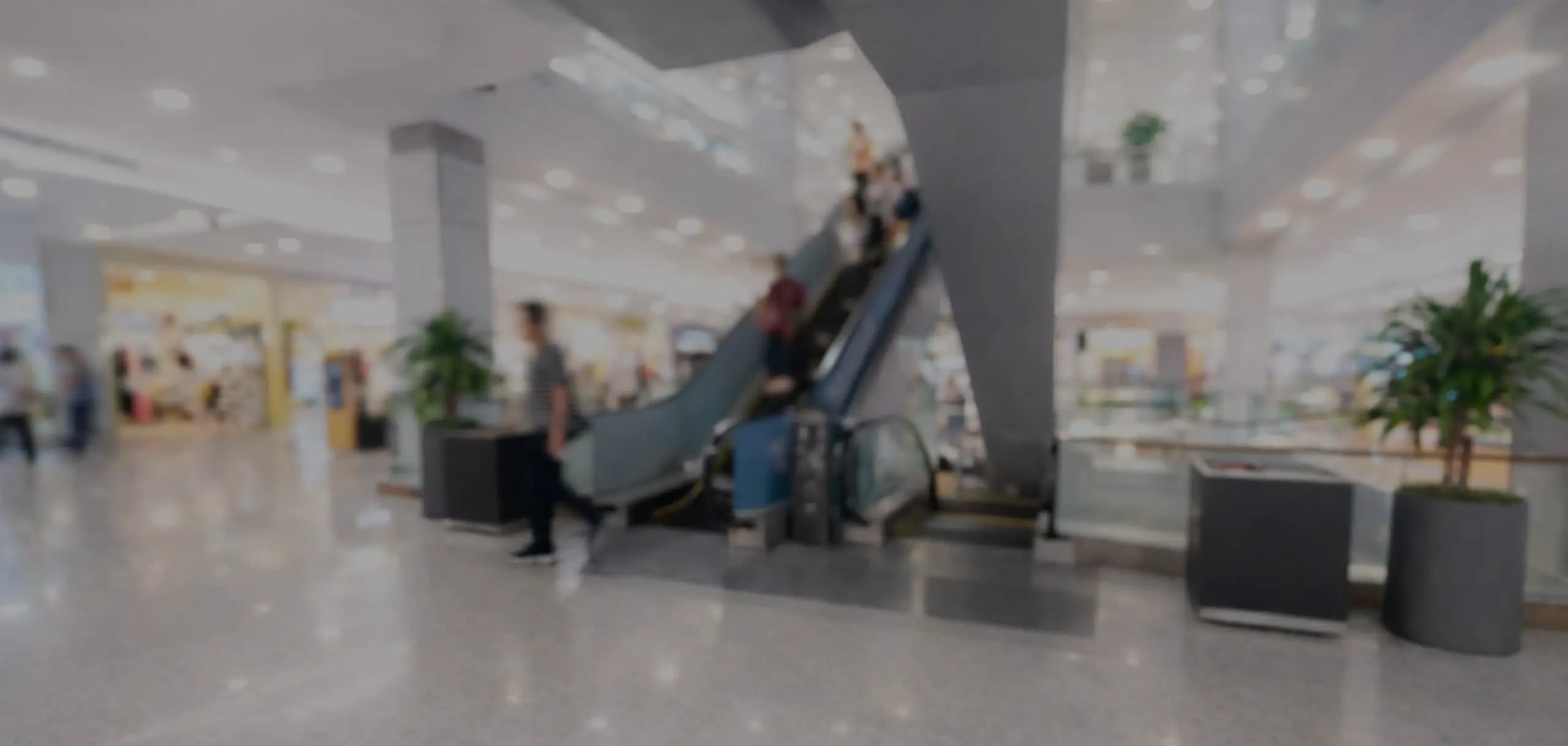 Serviços e Conforto